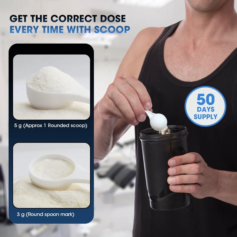 Kexinsh كرياتين مونوهيدرات مسح - مراجعة Creatine Monohydrate Powder وسعره