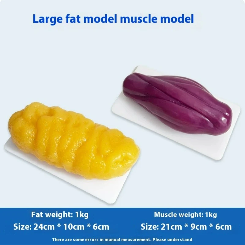 نماذج مقلدة للعضلات والدهون ال - مراجعة Nutrition Fitness And Health وسعره