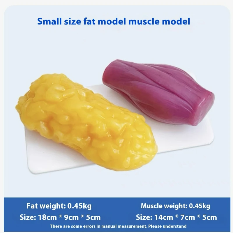 نماذج مقلدة للعضلات والدهون ال - مراجعة Nutrition Fitness And Health وسعره